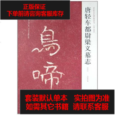 二手8成新-唐轻车都尉梁义墓志9787540120412