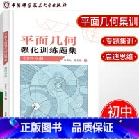 [正版]中科大 初中数学平面几何强化训练题集初中分册 万喜人著初中数学解题规律方法与技巧中考数学专项训练平面几何推理初