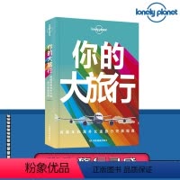 [正版]孤独星球Lonely Planet你的大旅行 间隔年和海外长途旅行指南 助你制定旅行计划 去哪儿玩什么 中文版