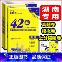 中考必刷卷❤️语文 湖南省 [正版]2025版湖南中考必刷卷42套语文数学英语物理化学历史道德与法治生物地理初中九年级中