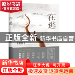 正版 在逃 王若虚著 上海三联书店 9787542648839 书籍