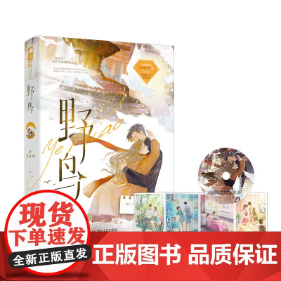 野鸟 江有无 四川文艺出版社 正版书籍