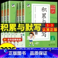 [2本]积累与默写+练字帖 一年级下 [正版]2025新版53小学基础题语文积累与默写一二三年级四五年级六年级上下册看拼