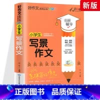 写景作文 小学通用 [正版]小学生好词好句好段大全三至六年级作文书素材积累语文同步作文优美句子积累大全一二三四五年级作文