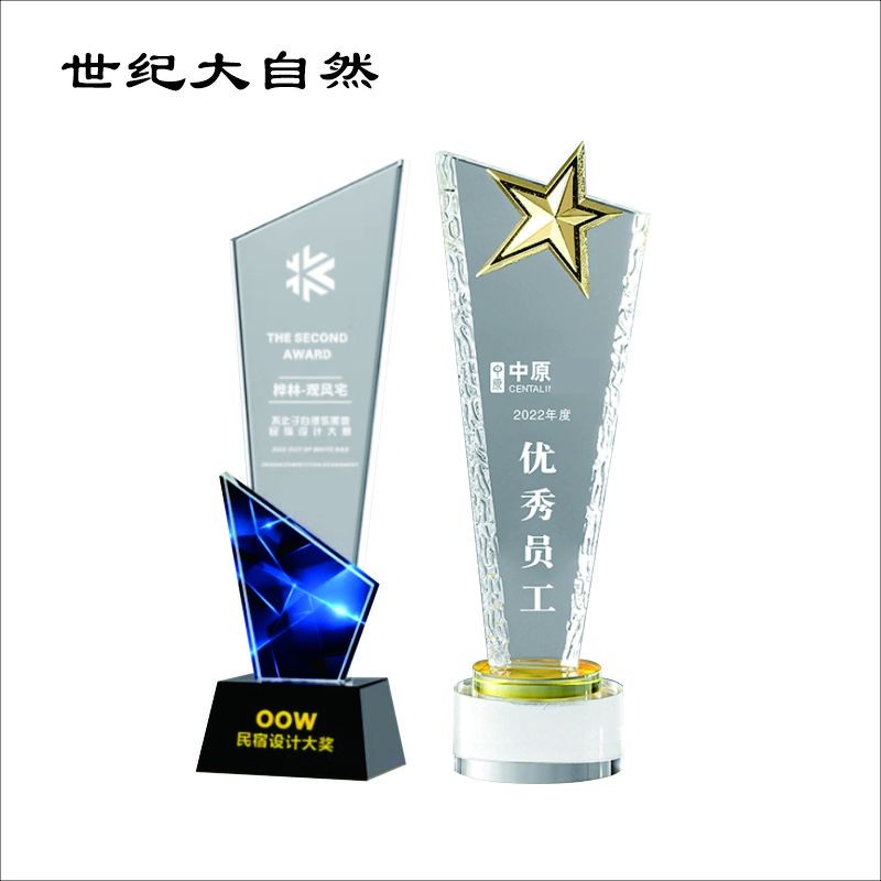 世纪大自然 精品水晶奖杯 SJDZR-B13 个