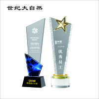 世纪大自然 精品水晶奖杯 SJDZR-B13 个