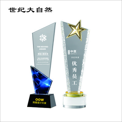 世纪大自然 精品水晶奖杯 SJDZR-B13 个