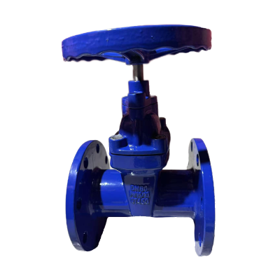 济俊 暗杆软密封法兰消防闸阀 ZSZF-80 DN80