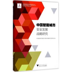 中国智能城市安全发展战略研究