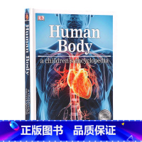 [正版]DK 儿童人体百科全书 图解进口英文原版 Human Body A Children's Encycloped
