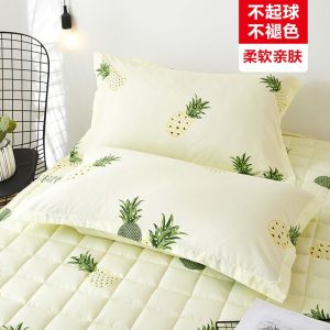枕套枕头套双人单人学生宿舍枕芯套48x74cm一对拍2