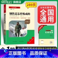 钢铁是怎样炼成的-必读[全国版] [正版]经典常谈朱自清和钢铁是怎样炼成的原版原着八年级下册课外书必完整版人教版给青年的