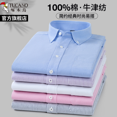 啄木鸟蓝色衬衫男士长袖2025秋季纯棉免烫抗皱休闲爸爸装中年衬衣