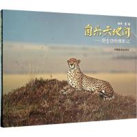 正版新书]自乐天地间:野生动物摄影记曾铮9787503884092