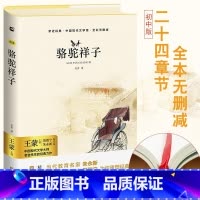 单本全册 [正版]亲近经典· 《骆驼祥子》原著 初中生版初一七年级课外阅读书中国现代文学大师老舍先生的经典力作全彩无删减