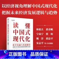 [正版]读懂中国式现代化 科学内涵与发展路径 十四五国家重点出版物出版规划项目 林毅夫等著 林毅夫 黄奇帆领衔 出版