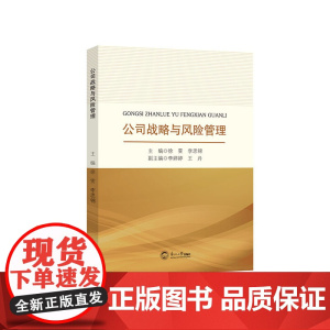 公司战略与风险管理
