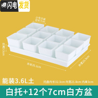 三维工匠控根多肉花盆套装组合塑料创意个性简约透气北欧风肉肉小盆器 白托+12个白盆(7cm盆) 中小花盆容器