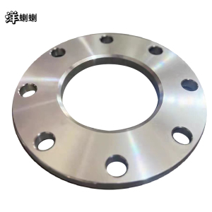 洋蝲蝲 法兰盘 DN100 单位:个