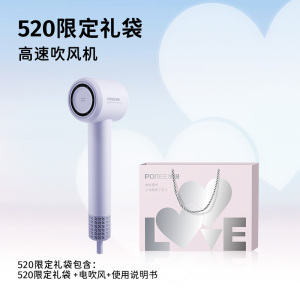 博锐情人节礼物高速电吹风大功率家用护发吹风负离子风力速干送女友送妈妈PH1653