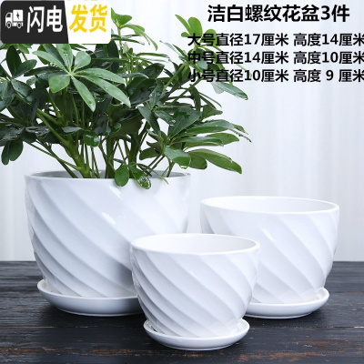三维工匠花盆陶瓷家用大号塑料创意多肉植物小花盆带托盘批发客厅 洁白螺纹花盆3件 大花盆容器