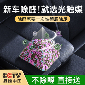 新车除甲醛除异味活性炭包汽车内吸附除味包竹炭净化车载空气神器