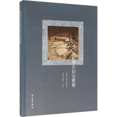 醉染图书临安洪起畏夫妇合葬墓9787501044665