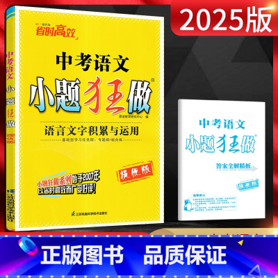 语文 全国通用 [正版]2025版小题狂做提优版中考语文语言文字积累与运用 初三九年级辅导资料练习册 中考冲刺专项专题突