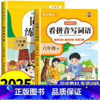 [六年级下册]看拼音写词语+同步字帖 小学六年级 [正版]看拼音写词语六年级下册 语文小学注音生字拼音拼读字词6年级上汉