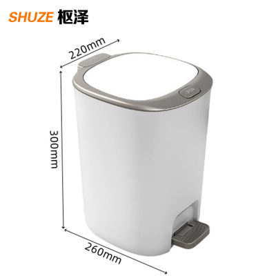 枢泽 脚踏垃圾桶 12L 个