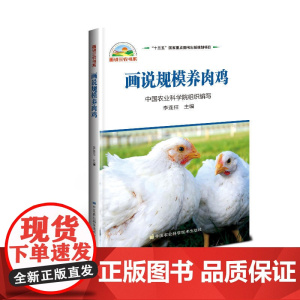 画说规模养*鸡