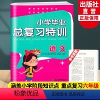 语文 小学升初中 [正版]小学毕业总复习特训 语文 人教版同步小升初中语文专项复习训练卷六年级下升学辅导资料必刷真题考试