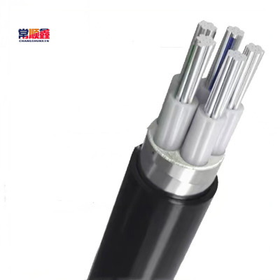 常顺鑫 低压铝芯电缆ZC-YJLV22 4×50+1×25 米