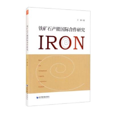 正版新书]铁矿石产能国际合作研究于果 著9787509680049