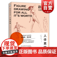 正版 路米斯经典美术课-人体素描 安德鲁路米斯 西方经典美术技法译丛 西方人体静物写生素描绘画美术艺术教程 上海人民美术