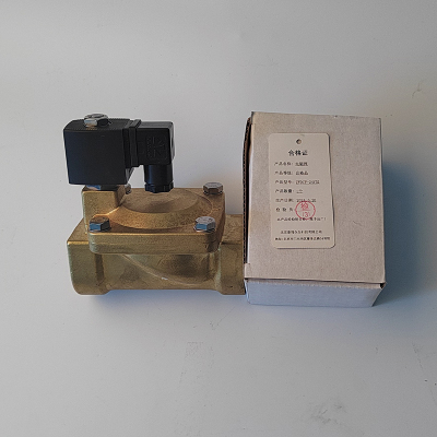 泰瑞众为 电磁阀 ZWDCF-24V32 个