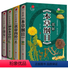 [正版]中医四大名著书籍大全本草纲目+黄帝内经+神农本草经+千金方中医基础理论伤寒论白话养生智慧全书中医药保养养生书籍