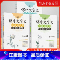 现代文阅读100篇 七年级/初中一年级 [正版]初中课外文言文阅读周计划七年级高效训练120篇八年级九年级现代文阅读周计