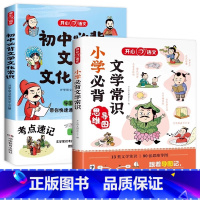 [两册套装]小升初文学常识必背. 初中通用 [正版]2024版初中必背文学文化常识文学常识积累大全导图版小学高中文学文化