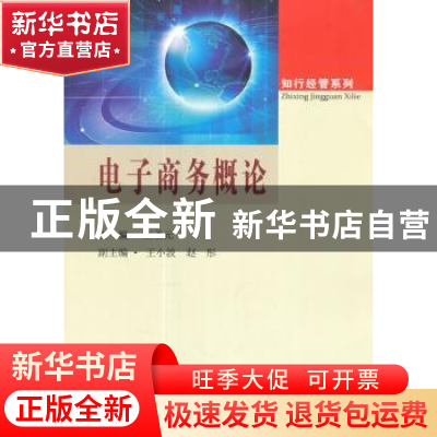 正版 电子商务概论 王圣元 东南大学出版社 9787564173500 书籍