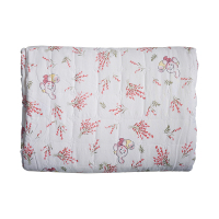 步宽 棉小棉空调被 150cm*200cm/床