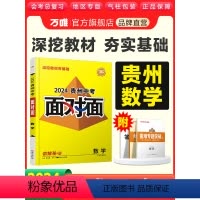 贵州省 数学 [正版]2024贵州数学万唯中考面对面中考一二三轮总复习资料全套七八九年级初三数学模拟题训练历年中考真题卷