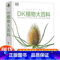 DK植物大百科 [正版]抖音同款DK玩出来的百科全3册玩转数学开启数学之旅+旗子数字游戏+ 奇趣数字游戏 6-12-15
