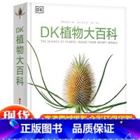 DK植物大百科 [正版]抖音同款DK玩出来的百科全3册玩转数学开启数学之旅+旗子数字游戏+ 奇趣数字游戏 6-12-15