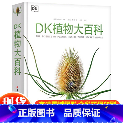 DK植物大百科 [正版]抖音同款DK玩出来的百科全3册玩转数学开启数学之旅+旗子数字游戏+ 奇趣数字游戏 6-12-15