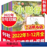 1[送帆布袋]小聪仔科普版全年珍藏2022年1-12月 [正版]3-8岁小朋友类过刊杂志处理2023/2022年等小聪仔