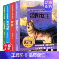 沈石溪动物小说 [正版]沈石溪动物小说全集感悟生命书系 全套共4册 狼国女王 五彩龙鸟 红豺 7-12-15岁儿童文学中
