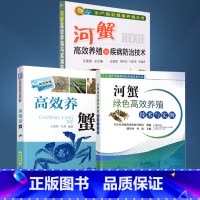 [正版]全3册河蟹绿色高效养殖技术与实例+高效养蟹+河蟹高效养殖与疾病防治技术 螃蟹养殖技术高效养螃蟹河蟹高效养殖书籍