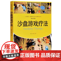 沙盘游戏疗法 高岚 心灵花园沙盘游戏与艺术心理治疗丛书 沙盘游戏理论基础分析过程实践课程心量咨询师治疗参考教材 心理学书
