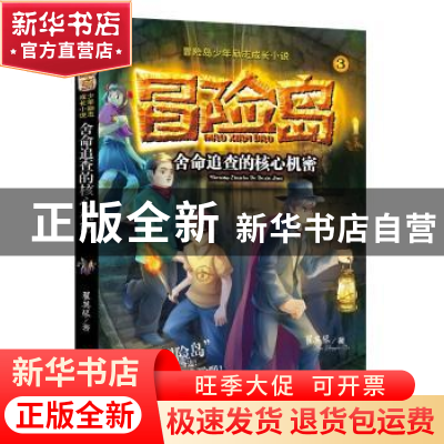 正版 舍命追查的核心机密 翟英琴著 河北大学出版社 978756661091